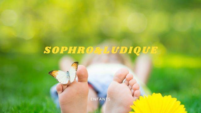 SOPHRO&LUDIQUE image papillon 